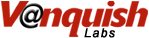 Vanquish Inc.'s logo Vanquish Inc.'s Company logo