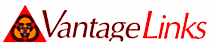 VantageLinks's logo VantageLinks's Company logo