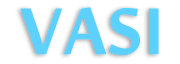 Vasi Shipping's logo Vasi Shipping's Company logo