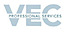 VEC Professional Services's company profile