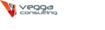 Black Belt Test Prep's Competitor - Vegga Consulting logo
