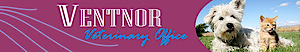 Ventnor Veterinary Office's logo Ventnor Veterinary Office's Company logo