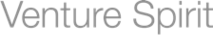Venture Spirit's logo Venture Spirit's Company logo