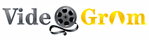 VideoGram's logo VideoGram's Company logo