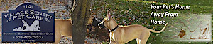 Village Sentry Pet Care's logo Village Sentry Pet Care's Company logo