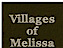 Jubilee Village Project's Competitor - Villages Of Melissa logo