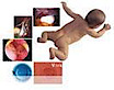 Virk Fertility Services
