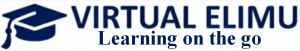 VIRTUAL ELIMU