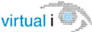 Virtual I's company profile