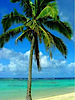 Vision Vacations's logo Vision Vacations's Company logo