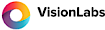 VisionLabs's company profile