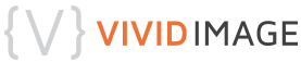 Vivid Image Inc.'s logo Vivid Image Inc.'s Company logo