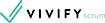 VivifyScrum's company profile