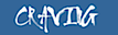 Vn42 Software Company