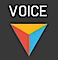Voice Polls