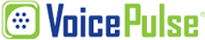 VoicePulse's logo VoicePulse's Company logo