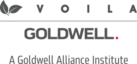 Voila Institute's logo Voila Institute's Company logo