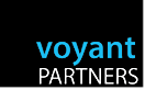 Voyant Partners's logo Voyant Partners's Company logo