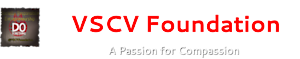 Vscv Foundation's logo Vscv Foundation's Company logo