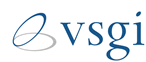 VSGi's logo VSGi's Company logo