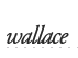 Wallacesc's logo Wallacesc's Company logo