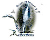 Waterfall Reflections's logo Waterfall Reflections's Company logo