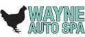 Wayne Auto Spa