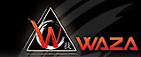 Waza Brazilian Jiu Jitsu