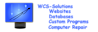 Mofga's Competitor - Wcs Solutions logo