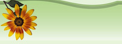 Web-landscape-design-ideas