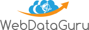 Webdataguru's logo Webdataguru's Company logo