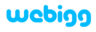 Webigg Technology's company profile