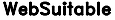 Thinkingbox's Competitor - WebSuitable logo