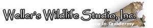 Weller's Wildlife Studio's logo Weller's Wildlife Studio's Company logo