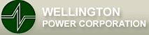 Wellington Power