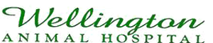 Wellingtonanimalhospital