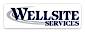 Wellsite Services, Inc