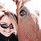 West Valley Show And Performance Horses