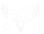 Western Skulls