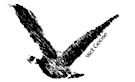 Wet Goose Marine's logo Wet Goose Marine's Company logo