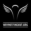 Why Not Findout's logo Why Not Findout's Company logo