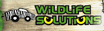 Wildlifesolutions