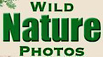 WildNaturePhotos's logo WildNaturePhotos's Company logo