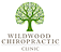 Wildwood Chiropractic Clinic Atlanta Chiropractor Dr Bob Schumacher, Dc