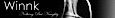 Cocoleggings's Competitor - Winnk logo