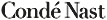 Insem's Competitor - Wired Italia logo