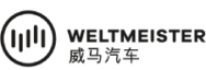 WM Motor
