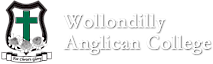 Wollondilly Anglican College's logo Wollondilly Anglican College's Company logo