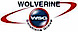 Wolverine Solutions Group