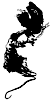Woodstock Aikido